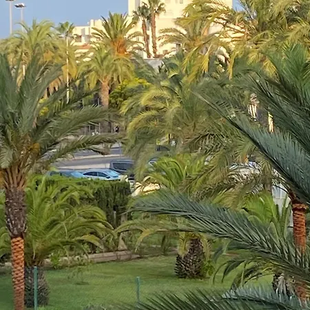 Szumiace Palmy Port Tomas Maestre