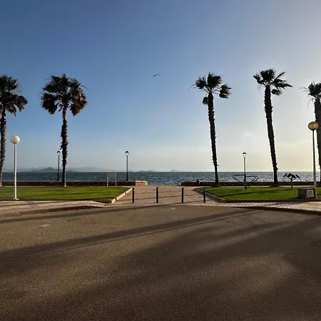 Szumiace Palmy Port Tomas Maestre *