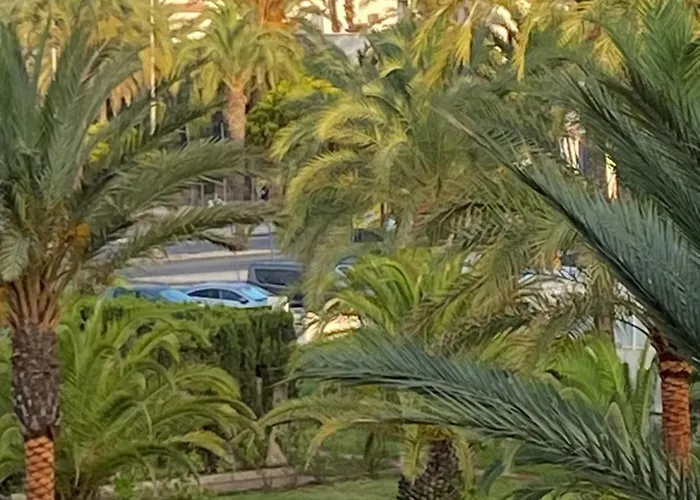 Szumiace Palmy Port Tomas Maestre